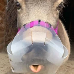 Panier anti-fourbure cheval limitation normale Filly - Thinline