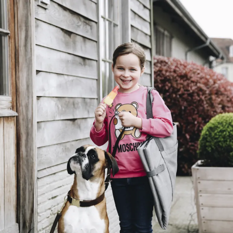 Panier de voyage pour chien Travel in style - Kentucky