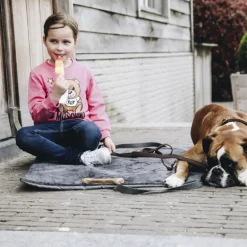 Panier de voyage pour chien Travel in style - Kentucky