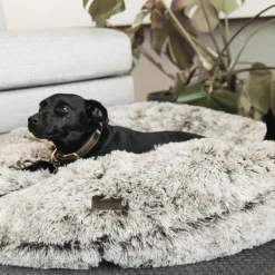 Panier pour chien Confort Beignet - Kentucky Dogwear