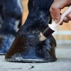 Pediguard onguent cheval noir - Ravene