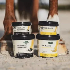 Pediguard onguent cheval noir - Ravene