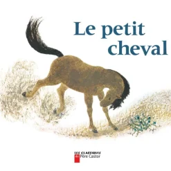 Petit cheval et vieux chameau - Flammarion