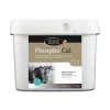 Phospho'cal 2kg - Horse Master