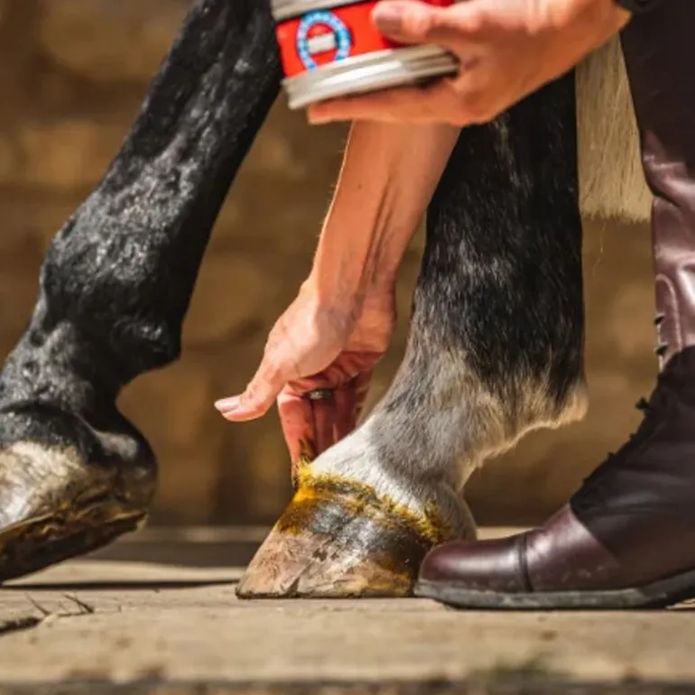 Pommade sabots Cornucrescine - Carr and Day and Martin