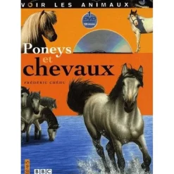 Poneys et chevaux - Fleurus