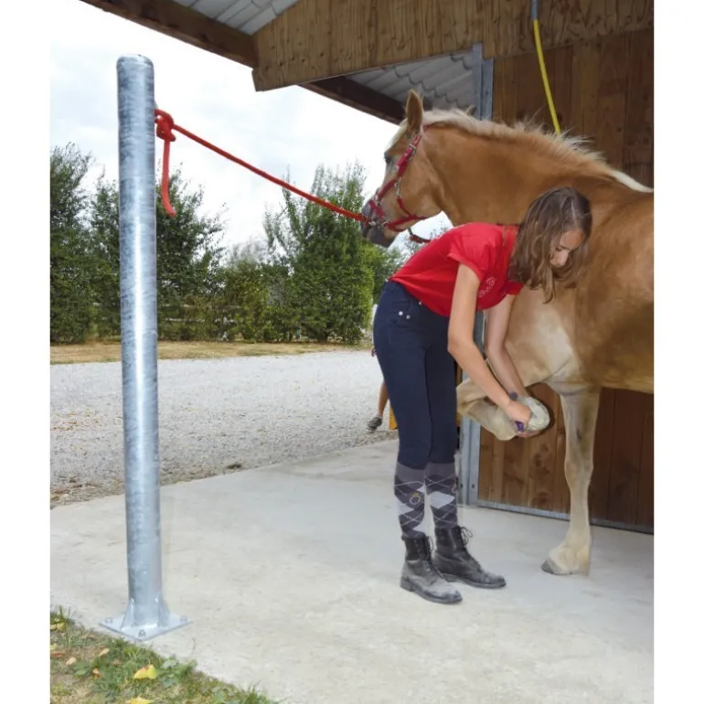 Poteau d'attache cheval - La Gée