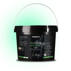 Pro Flore intestinal - Pré et probiotiques cheval - Germtonic