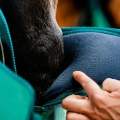 Protection de transport cheval Signature - Horseware