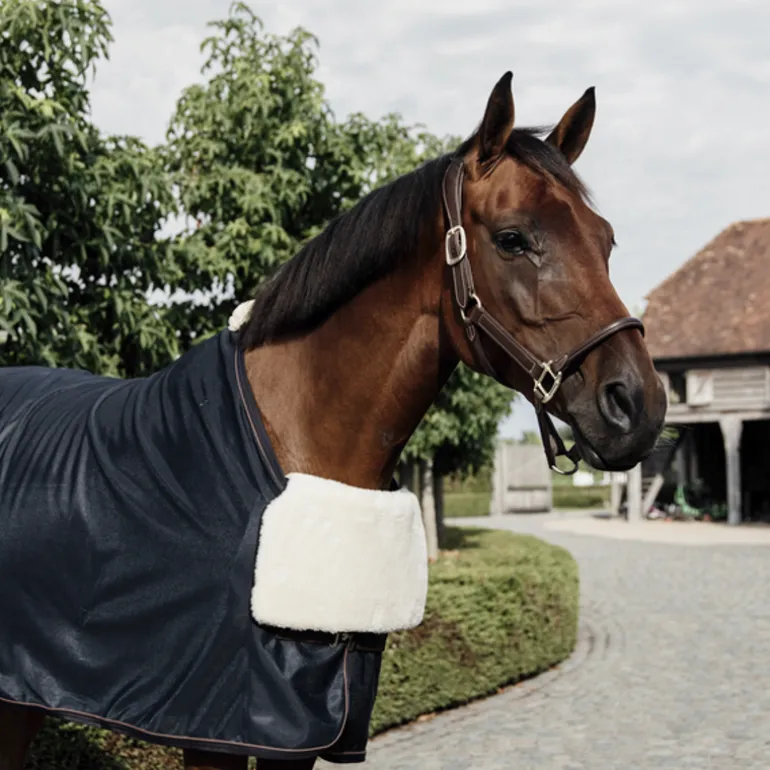 Protection poitrail cheval Horse Bib - Kentucky