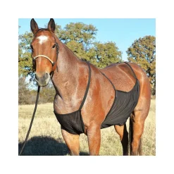 Protection ventrale anti-mouche cheval Belly Guard - Cashel