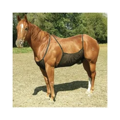 Protection ventrale anti-mouche cheval Belly Guard - Cashel