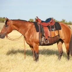 Protection ventrale anti-mouche cheval Quiet Ride - Cashel