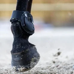 Protège boulets cheval Cordial - Pro-Confort Horsewear