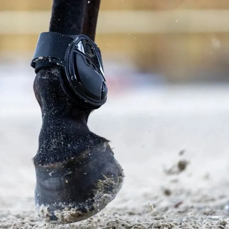 Protège boulets cheval Cordial - Pro-Confort Horsewear