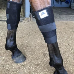 Protège genoux cheval thérapeutique Technologie Titane Liquide - Fenwick