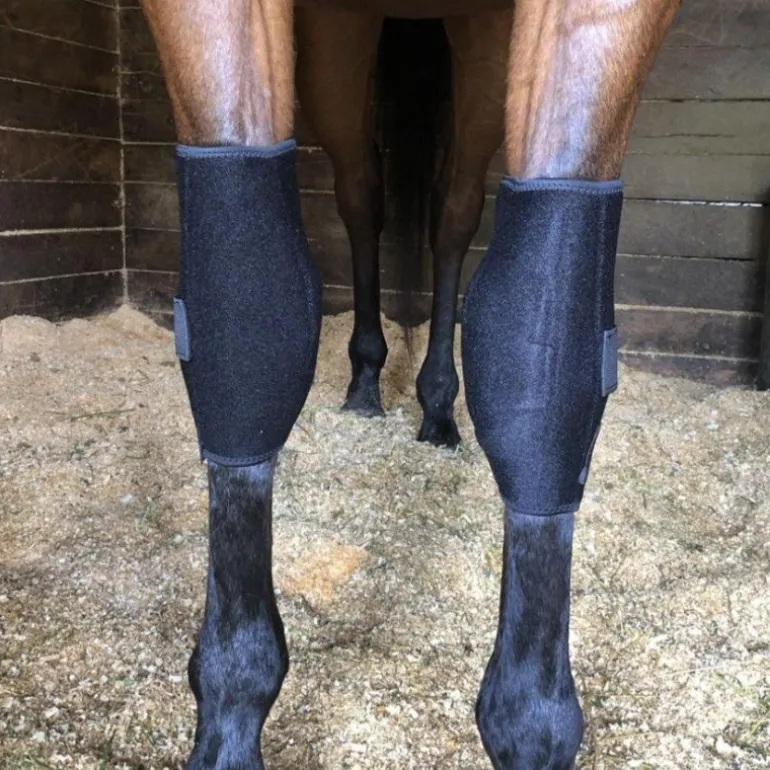 Protège genoux cheval thérapeutique Technologie Titane Liquide - Fenwick