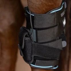 Protège jarret cheval thérapeutique W-Health and Care (vibrations∕froid∕chaleur) - Waldhausen