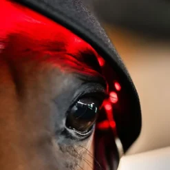 Protège nuque thérapeutique cheval LED Luminotherapie Poll Cap - Horseware