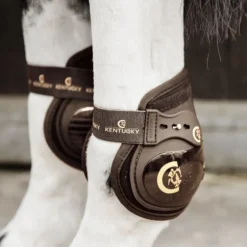 Protège-boulets cheval 1 crochet Elastic Moonboots - Kentucky