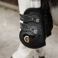 Protège-boulets cheval 2 crochets Elastic Moonboots Max - Kentucky