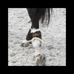 Protège-boulets cheval mouton synthétique Turnout - Kentucky