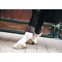 Protège-boulets cheval simili-cuir - Kentucky