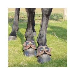 Protège-glomes cheval D3O Solimbra - Kentucky