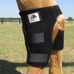 Protège-jarrets cheval thérapeutique Technologie Titane Liquide - Fenwick