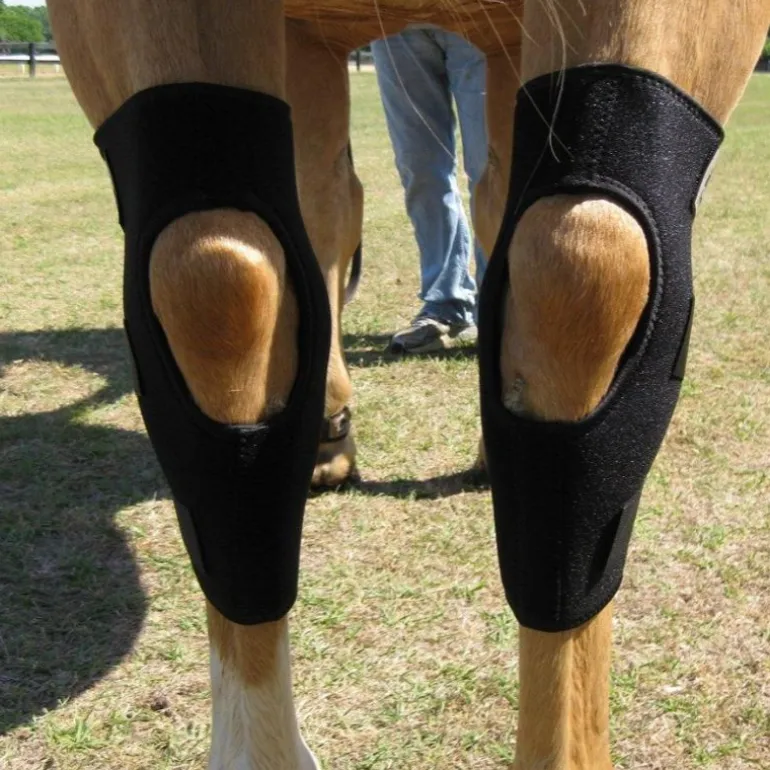 Protège-jarrets cheval thérapeutique Technologie Titane Liquide - Fenwick