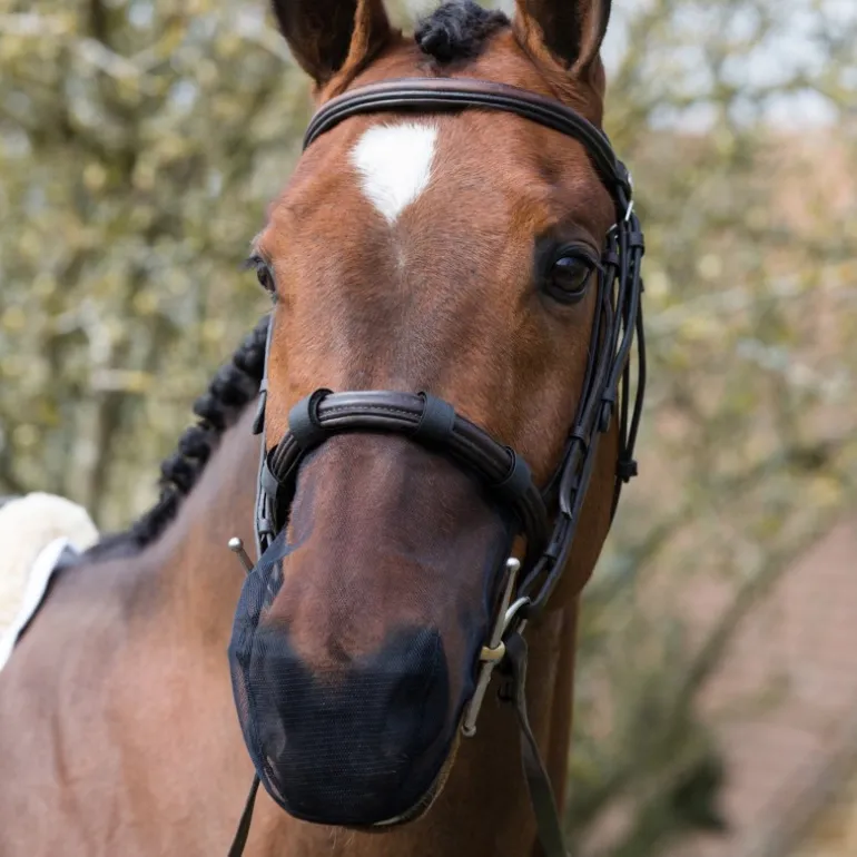 Protège-Naseaux cheval anti-encensement Net Relief - Equilibrium