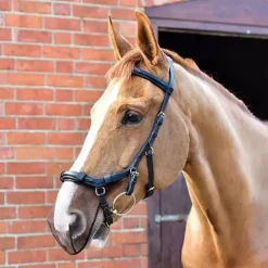 Protège-naseaux cheval anti ensencement pour bridon Micklem - Equilibrium