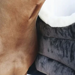 Protège-épaules cheval hiver Winter Bib - Kentucky