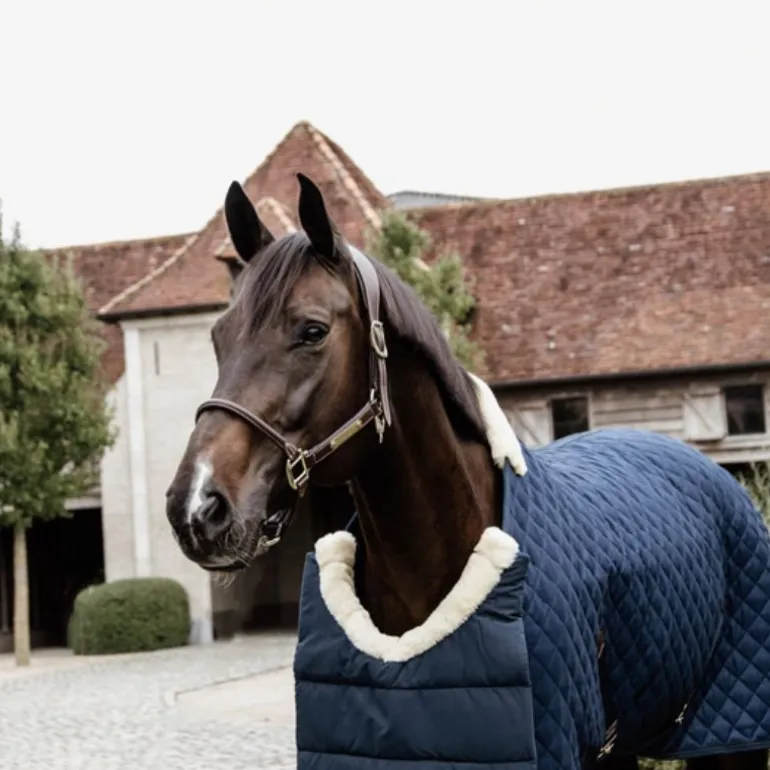 Protège-épaules cheval hiver Winter Bib - Kentucky