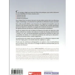 Races équines de France - France Agricole