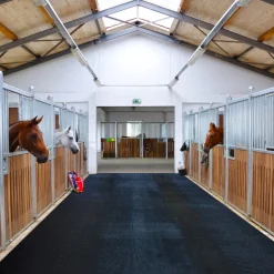 Revêtement de sol 10T en caoutchouc pour les allées écurie, vans et camions cheval - IDS