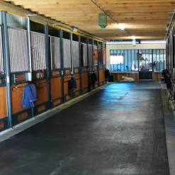 Revêtement de sol 10T en caoutchouc pour les allées écurie, vans et camions cheval - IDS