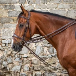 Rênes allemandes tout cuir cheval D Collection - Dyon