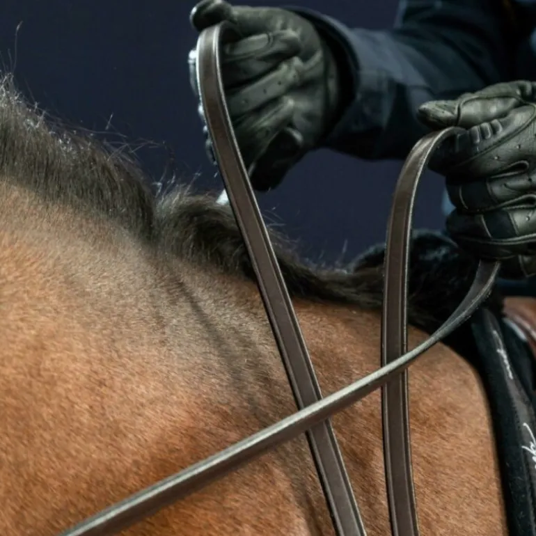 Rênes cheval bride cuir 1/2 New English Collection - Dy'on