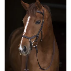 Rênes grip spéciales Micklem Rambo Original Competition