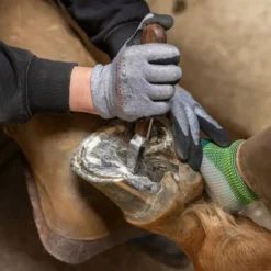 Rénette sabot cheval ProfiLoop
