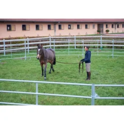 Rond de longe cheval acier galvanisé panel 3 mètres - La Gée
