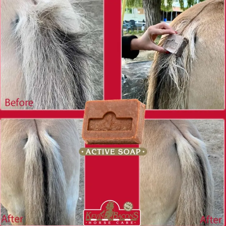 Savon dermite estivale cheval Active soap - Kevin Bacon's