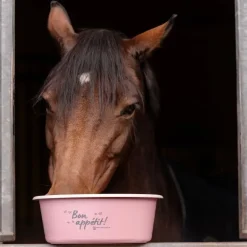 Seau avec couvercle pour floconnés 5 L - Waldhausen