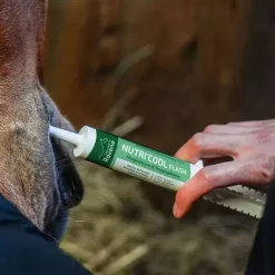 Seringue anti-stress cheval Nutri'Cool Flash - Ravene