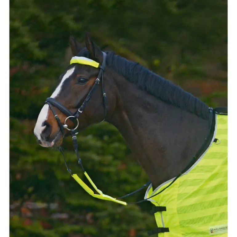 Set réfléchissant bridon Reflex - Waldhausen