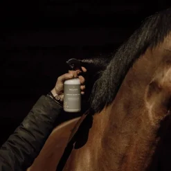 Soin Démêlant crins cheval - Nellumbo