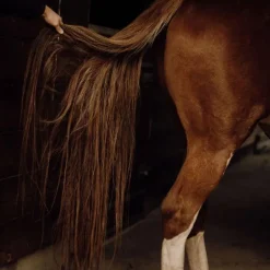 Soin Démêlant crins cheval - Nellumbo