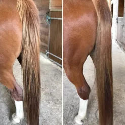 Soin Démêlant crins cheval - Nellumbo