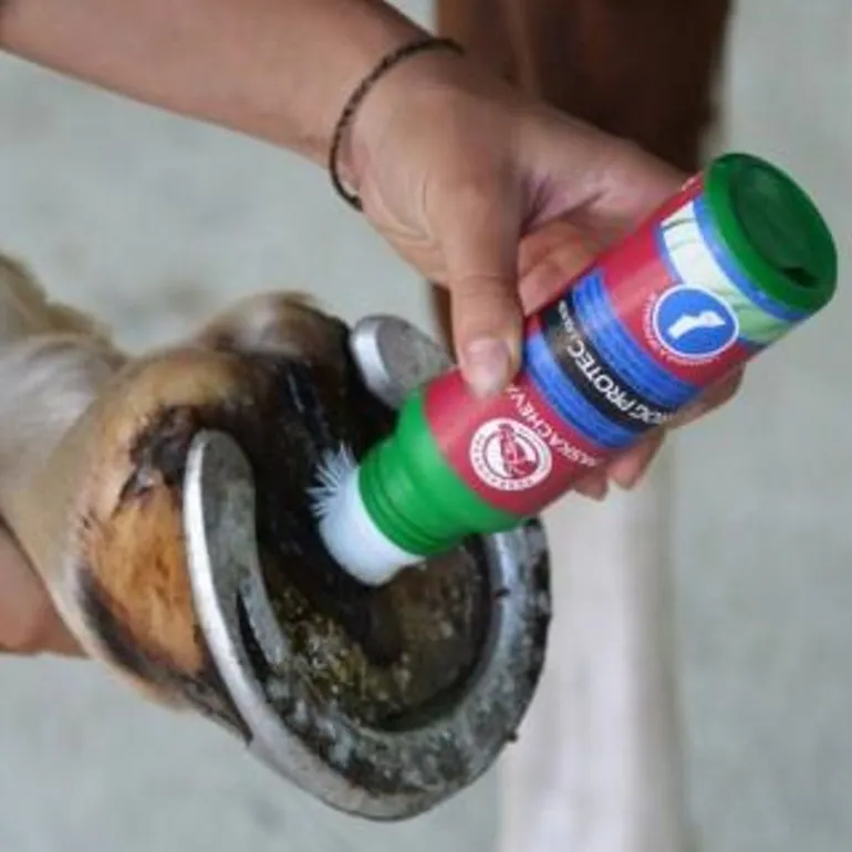 Soin fourchette cheval Frog Protect 200 ml - Paskacheval